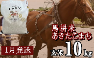 [ 2026年 1月中旬より発送] 岩手県産 馬耕米 あきたこまち 玄米 10kg /[株式会社スタディア] お米 米 こめ コメ 馬ふん堆肥 使用 ご飯 ライス おにぎり 弁当 単一原料米 10キロ 10kg 馬耕 馬 ウマ うま 産地直送 国産 おすすめ 人気