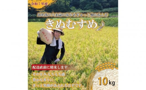 1083.令和7年産　原田農園きぬむすめ精米　10kg 2291161 - 鳥取県北栄町