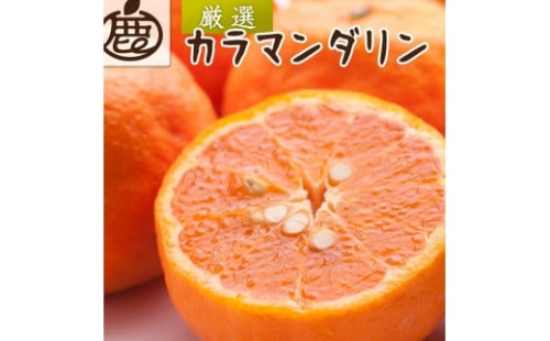 厳選 カラマンダリン 10kg+250g（傷み補償分）［南津海・なつみ］［希少な春柑橘］［みかんと同じように食べられます］ ［IKE281］ 2291168 - 和歌山県那智勝浦町