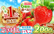 [栃木県共通返礼品][先行予約]とちあいか3L以上ホール詰め | プレゼント 贈答 果物 くだもの フルーツ 野菜 やさい ヤサイ 苺 イチゴ いちご とちあいか 新鮮 甘い 数量 限定 美味しい 果物 共通返礼品 フルーツ デザート 栃木県 那珂川町 送料無料