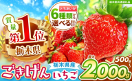 [栃木県共通返礼品][先行予約]訳ありいちご サイズランダム 1kg以上 | 果物 くだもの フルーツ 野菜 やさい ヤサイ 苺 イチゴ いちご とちあいか 新鮮 甘い 数量 限定 美味しい 果物 共通返礼品 フルーツ デザート 訳あり 栃木県 那珂川町 送料無料