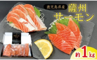薩州サーモン 1kg 鹿児島 国産 養殖 サーモン  BS-247