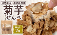 白色菊芋 菊芋せんべ （40g×2袋） SK-4｜ せんべい お菓子 菊芋 ノンフライ ノンオイル きくいも 焙煎 おつまみ グルメ お取り寄せ 鹿児島県 南大隅町 島子農園