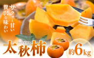 【先行予約】柿 太秋柿 たいしゅうがき 約6kg 日本フルーツ株式会社《2026年9月上旬-10月下旬頃出荷》熊本県 菊池市 柿 かき 熊本県産 秋の味覚 果物 くだもの フルーツ デザート