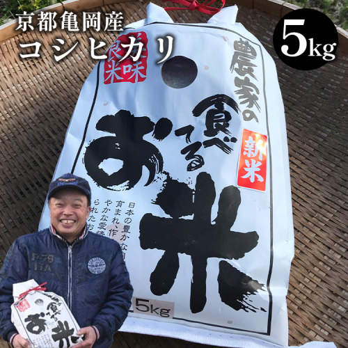 令和7年産 コシヒカリ 5kg ≪米 コメ 白米 京都 丹波 こしひかり 数量限定≫ ※2025年10月以降に順次発送予定 2291396 - 京都府亀岡市