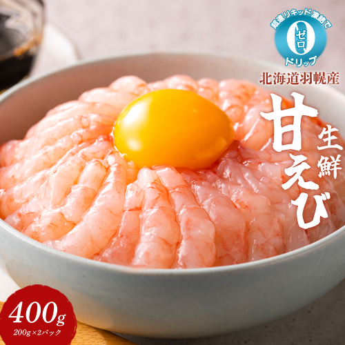 超速リキッド凍結でドリップゼロ！北海道羽幌産生鮮甘えび 400g【03125】 2291404 - 北海道羽幌町