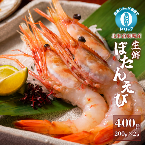 超速リキッド凍結でドリップゼロ！北海道羽幌産生鮮ぼたんえび 400g【03127】 2291406 - 北海道羽幌町