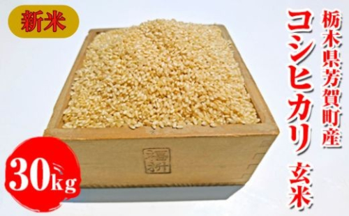 令和8年産新米 栃木県芳賀町産 コシヒカリ 玄米 30kg｜米 お米 新米 コメ こめ 国産 産地直送 旬 期間限定 季節限定 送料無料 《2026年9月下旬-2027年1月下旬頃出荷予定》 2292180 - 栃木県芳賀町