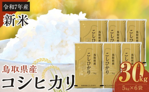 【令和7年産新米】【食味鑑定士厳選】 鳥取県産 コシヒカリ30kg (5kg×6袋)【新米 米 お米 こめ 白米 こしひかり ご飯 ごはん 白ごはん 白ご飯 鳥取県 北栄町 おすすめ 人気 2025年産 令和7年 厳選 国産 送料無料】 2292316 - 鳥取県北栄町