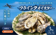 加熱用　生牡蠣殻つき　3kg （約33個～54個）調理方法付き フライングオイスター牡蠣  春木牡蠣養殖共同事業 岸和田市 [№5385-1145]