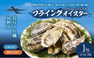冷凍お届け　殻付き牡蠣　1kg （約11個～18個）加熱用 調理方法付き フライングオイスター牡蠣  春木牡蠣養殖共同事業 岸和田市 [№5385-1148]