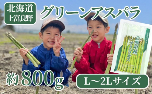 9月限定！【2026年分先行予約】 アスパラガス 専門農家 の 特選 グリーン アスパラ 800g  L～2L 原農園 アスパラ あすぱら 野菜 北海道 上富良野町 2292392 - 北海道上富良野町