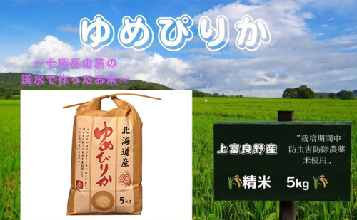 北海道 上富良野産「 ゆめぴりか 」特別栽培 白米 5kg（令和7年産）  お米 日用品 ライス ご飯 食べ物 ストック 常備品 北海道産 おにぎり お弁当 2292393 - 北海道上富良野町
