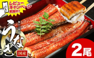 レビューキャンペーン実施中! うなぎ 鰻 ご家庭用 2尾 (サイズ不選別:1尾当たり140g-180g) 福岡県産 鰻の蒲焼き 数量限定 株式会社HOMIE[10月上旬-10月末頃出荷]福岡県 鞍手郡 鞍手町 鰻 蒲焼き 数量限定 国産 蒲焼 うなぎ蒲焼