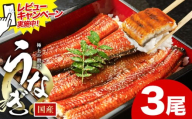 レビューキャンペーン実施中！ うなぎ 鰻 ご家庭用  3尾 (サイズ不選別：1尾当たり140g-180g) 福岡県産 鰻の蒲焼き 数量限定 株式会社HOMIE《10月上旬-10月末頃出荷》福岡県 鞍手郡 鞍手町 鰻 蒲焼き 数量限定 国産 蒲焼 うなぎ蒲焼