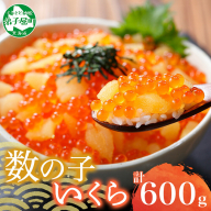 2979. 数の子 いくら 醤油漬け 100g× 6パック 計600g イクラ 醤油漬け さけ いくら 鮭 しょうゆづけ 魚卵 海鮮 人気 海鮮丼 寿司 おかず つまみ おつまみ ごはんのおとも 贅沢 グルメ 送料無料 北海道 弟子屈町