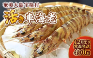 【先行予約】2026年1月19日(月)発送希望 活き 車海老  (400g) 【期間限定】常温 活きたまま 宇検村産 車えび 魚介 エビ 海鮮 刺身 人気 くるまえび 奄美大島 宇検村 鹿児島