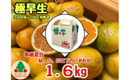 等級混合 極早生 有田みかん M ～ SSサイズ以下 約1.6kg 南泰園 和歌山 有田みかん 2292639 - 和歌山県有田川町