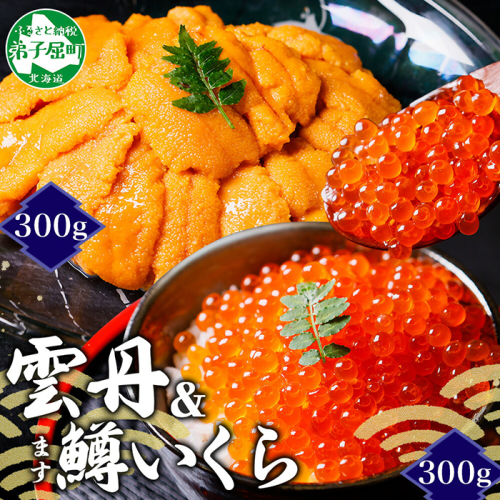 3408. 雲丹 計300g 鱒いくら 醤油漬け 計300g 海鮮 2種セット うに ウニ チリ産 ミョウバン不使用 冷凍 鱒 ます マスいくら イクラ いくら醤油 魚卵 海鮮丼 手巻き寿司 寿司 すし つまみ おつまみ おかず ごはんのおとも 人気 グルメ お取り寄せ 送料無料 北海道 弟子屈町
 2292718 - 北海道弟子屈町