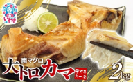 [25年11月配送]南マグロ大トロカマ2kg 加熱用 塩焼きや煮付けに|冷凍 塩焼き 煮付け まぐろ 鮪 マグロ 焼き魚 高級種 希少部位