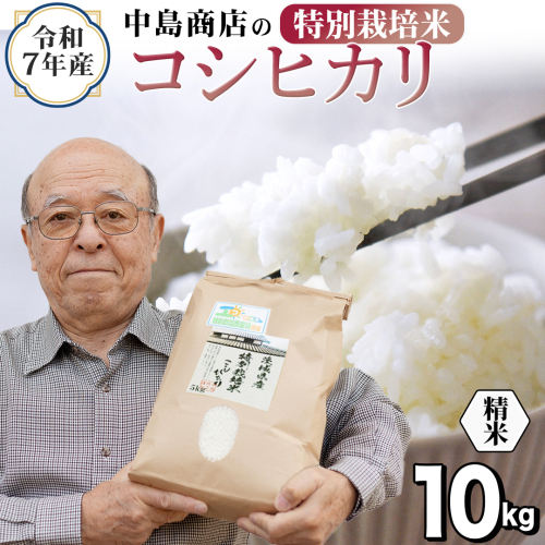 ＜ 新米 ＞ 令和7年産 茨城県産 精米 特別栽培米 コシヒカリ 10kg （5kg×2袋） 白米 こしひかり 米 コメ こめ 単一米 限定 茨城県産 国産 美味しい お米 おこめ おコメ[EH33-NT] 2292776 - 茨城県つくばみらい市