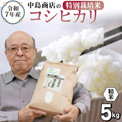 ＜ 新米 ＞ 令和7年産 茨城県産 精米 特別栽培米 コシヒカリ 5kg （5kg×1袋） 白米 こしひかり 米 コメ こめ 単一米 限定 茨城県産 国産 美味しい お米 おこめ おコメ[EH32-NT] 2292777 - 茨城県つくばみらい市