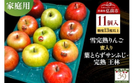 [25年12月発送]りんご [ 数量限定 ]雪完熟りんご 糖度13度以上 家庭用 蜜入り 葉とらずサンふじ ・ 完熟 王林 11個入り[レビューキャンペーン]