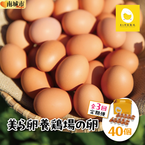 卵の黄身が掴めるほどの新鮮さ 美ら卵養鶏場の卵 40個【3ヶ月定期便】   I  たまご タマゴ  卵 美ら卵 養鶏場 美ら卵 新鮮  養鶏場  定期便 40個   沖縄県 南城市 ふるさと納税 有限会社 美ら卵養鶏場 2292870 - 沖縄県南城市