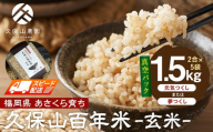 [特別栽培米]久保山百年米‐玄米-真空パック(2合×5袋)計1.5kgギフトにオススメ![精米 お米 米 ご飯 ごはん ブランド 減農薬 減化学肥料 元気つくし 夢つくし 小分け 包装 ギフト 贈答用 プレゼント 食品 ふるさと納税 炊飯 炊飯器 福岡 福岡県産 筑前 筑前町]