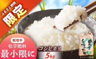 〈ふるさと納税限定！〉令和7年度産コシヒカリ 5キロ / 米 お米 コシヒカリ 新米 精米 白米 産地直送 / 恵那市 / トモファーム [AUCA003]