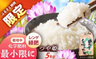 〈ふるさと納税限定！〉令和7年度産つや姫 5キロ  / 米 お米 つや姫 新米 精米 白米 産地直送 / 恵那市 / トモファーム [AUCA005]