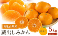 [先行予約]訳あり 蔵出しみかん 約5kg 2S〜2Lサイズ混合[2026年1月10日〜31日頃順次発送予定]