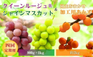 [2026年先行予約]スイートなときめき 加工用あんず&ぶどう定期便4回|杏子 アプリコット 加工用 果物 フルーツ 白ぶどう 葡萄 ブドウ 種無し 種なし 皮ごと 千曲市 長野県 信州