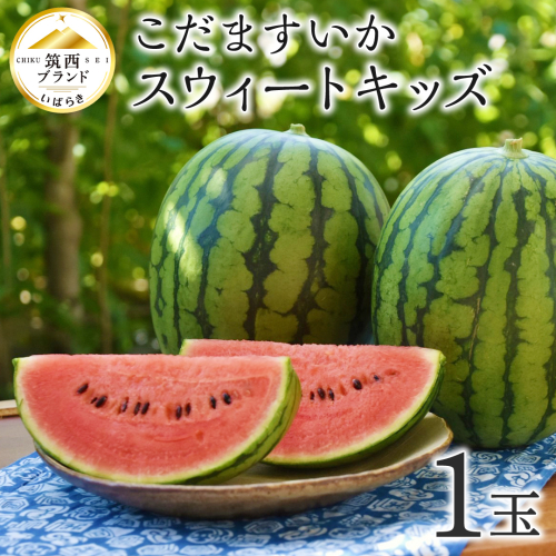 【 JA北つくば 】 こだますいか 「 スウィートキッズ 」 1玉 2026年産 小玉すいか 小玉 すいか スイカ 果物 フルーツ ピノガール 西瓜 くだもの デザート 茨城 [AE057ci] 2293078 - 茨城県筑西市