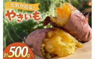 [期間限定発送] 焼き芋 「元気が出るやきいも(フローズン)」紅はるか 500g 冷凍 [うみとやきいもラッキーズ 静岡県 吉田町 22424682] やきいも 焼きいも 焼芋 ヤキイモ 焼イモ おいも 芋 いも べにはるか さつま芋 さつまいも サツマイモ おやつ スイーツ