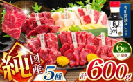 【 定期便 6回 】純 国産 熊本 馬刺し 5種類 600g | 馬刺し 馬肉 馬 ばさし 新鮮 純国産 定期 熊本県 玉名市