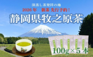 【先行予約】 2026年度産 新茶 シルバー 100ｇ×5本 お茶 静岡  新茶 濃旨 緑茶  深蒸し茶 深蒸し 茶 水出し緑茶 水出し 静岡茶 日本茶 飲料 飲み物 ドリンク 深むし茶 煎茶 セット お茶 茶 深蒸し 煎茶 旬 日常 牧之原産 甘い コク 便利 簡単 銀 茶葉 静岡茶 牧之原茶  プレゼント 贈答 贈答品 贈り物  産地直送 国産 日本 人気  静岡 県 牧之原市 小栗農園