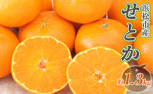 【2027年2月より順次発送】 後藤みかん農園 せとか 約1.3kg 大玉 ハウス 果物 くだもの 旬のフルーツ 旬の果物 季節のフルーツ 季節の果物 柑橘 柑橘類 静岡 浜松市 2293670 - 静岡県浜松市