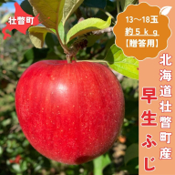 [10月中旬頃よりお届け]北海道壮瞥産りんご 早生ふじ 約5kg(13〜18玉)[贈答用]