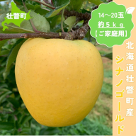 [11月下旬頃よりお届け]北海道壮瞥産りんご シナノゴールド 約5kg(14〜20玉)[ご家庭用]