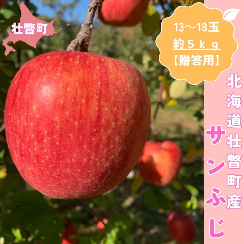 ＜11月下旬頃よりお届け＞北海道壮瞥産りんご サンふじ 約5kg(13～18玉)【贈答用】 SBTK016 2294078 - 北海道壮瞥町