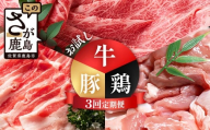 合計3.02kg 定期便 3回 佐賀の牛・豚・鶏 お試し定期便 E-173