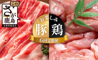 合計8.6kg 定期便 6回 佐賀の豚・鶏 お楽しみ定期便 I-43
