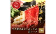 【和牛セレブ】神戸牛　すき焼き&しゃぶしゃぶセット【肩ロース】250g