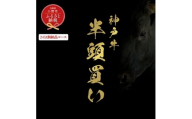 【和牛セレブ】神戸牛半頭分のセレブ体験（24分割納品コース）/ 神戸ビーフ BBQ 牛肉 冷凍 ブランド牛 兵庫県 小野市