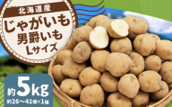 じゃがいも (男爵) Lサイズ 約5kg × 1箱 約5kg (JA) [2025年9月下旬〜2026年2月下旬迄発送予定] だんしゃく ジャガイモ 芋 いも 野菜 やさい ほくほく 北海道 京極町 常温