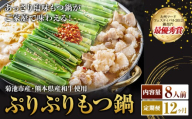 九州鍋グランプリ受賞 ぷりぷりもつ鍋 8人前 12ヶ月定期便 有限会社味万(万彩工房)《お申し込みの翌月から出荷》 菊池市産・熊本県産和牛使用 モツ鍋 鍋セット セット モツ 牛丸腸 無添加スープ ちゃんぽん麺 薬味付き 送料無料
