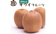 ［先行予約］厳選 キウイ5kg+250g（傷み補償分）［扁平果］
