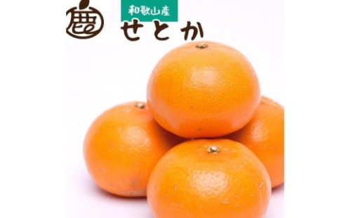［先行予約］厳選 せとか7.5kg+250g（傷み補償分［柑橘・春みかんの王様］［光センサー選果・食べ頃出荷］ 2294483 - 和歌山県有田川町
