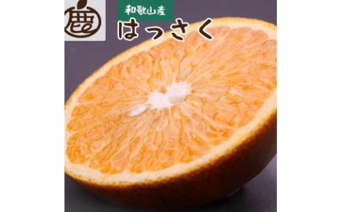 ［先行予約］厳選 はっさく10kg+250g（傷み補償分）［八朔みかん］［光センサー選別］ 2294488 - 和歌山県有田川町